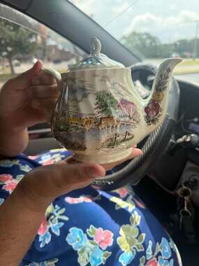 Vintage Sadler Country Life Porcelain Teapot Made in England